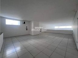 https://img.olx.com.br/thumbs256x256/15/158511525685779.jpg