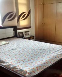 https://img.olx.com.br/thumbs256x256/15/158512759279163.jpg