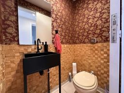 https://img.olx.com.br/thumbs256x256/15/158516525475534.jpg