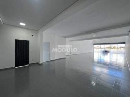 https://img.olx.com.br/thumbs256x256/15/158568168076054.jpg