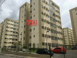 Título do anúncio: Apartamento Padrão para Aluguel em Muribara São Lourenço da Mata-PE