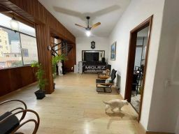 https://img.olx.com.br/thumbs256x256/15/159514281146502.jpg