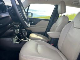 https://img.olx.com.br/thumbs256x256/15/159519367050924.jpg