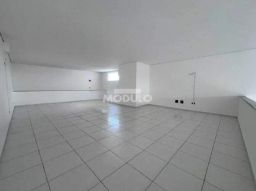 https://img.olx.com.br/thumbs256x256/15/159573644244597.jpg