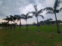 https://img.olx.com.br/thumbs256x256/15/159637438192019.jpg