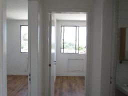 https://img.olx.com.br/thumbs256x256/16/160599147775506.jpg
