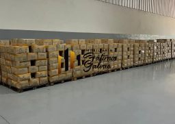 https://img.olx.com.br/thumbs256x256/16/160690442022069.jpg