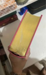 https://img.olx.com.br/thumbs256x256/16/161512154285080.jpg
