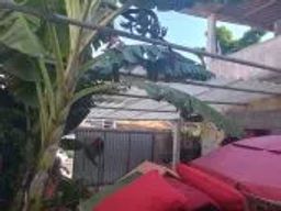 https://img.olx.com.br/thumbs256x256/16/161514646003241.jpg