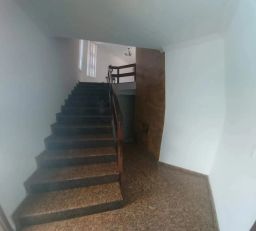 https://img.olx.com.br/thumbs256x256/16/161534527374422.jpg