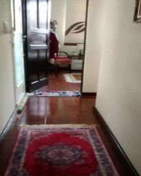 https://img.olx.com.br/thumbs256x256/16/161547876197707.jpg