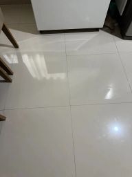 https://img.olx.com.br/thumbs256x256/16/162563400132375.jpg