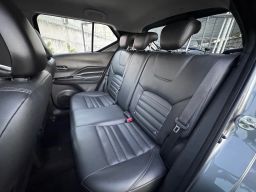 https://img.olx.com.br/thumbs256x256/16/162618548983371.jpg