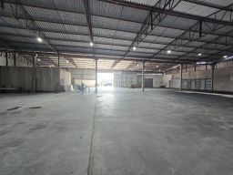 https://img.olx.com.br/thumbs256x256/16/162680182265428.jpg