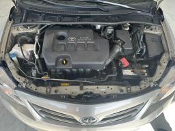 https://img.olx.com.br/thumbs256x256/16/162693788517548.jpg