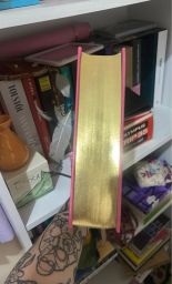 https://img.olx.com.br/thumbs256x256/16/163509872408892.jpg
