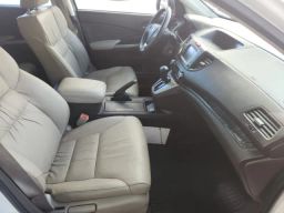 https://img.olx.com.br/thumbs256x256/16/163540036028284.jpg