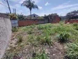 https://img.olx.com.br/thumbs256x256/16/163543644329899.jpg