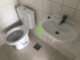 https://img.olx.com.br/thumbs256x256/16/163556621814337.jpg