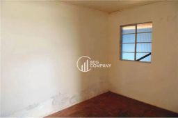 https://img.olx.com.br/thumbs256x256/16/163584391409584.jpg