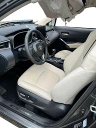 https://img.olx.com.br/thumbs256x256/16/164413233704601.jpg