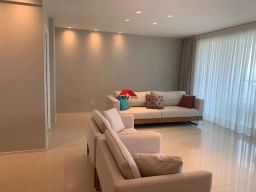 https://img.olx.com.br/thumbs256x256/16/164537406796489.jpg