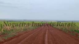 Título do anúncio: Fazenda com 85 alqueires, terra vermelha, região produtora (Nogueira Imóveis Rurais)