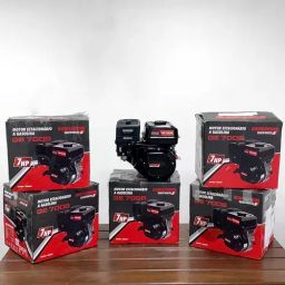 https://img.olx.com.br/thumbs256x256/16/166541392845005.jpg