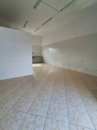 https://img.olx.com.br/thumbs256x256/16/167508528687266.jpg