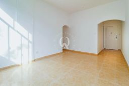 https://img.olx.com.br/thumbs256x256/16/167552884893293.jpg