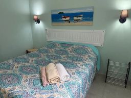 https://img.olx.com.br/thumbs256x256/16/167554044923157.jpg