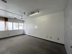 https://img.olx.com.br/thumbs256x256/16/167588161032315.jpg