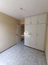 https://img.olx.com.br/thumbs256x256/16/167588752161521.jpg