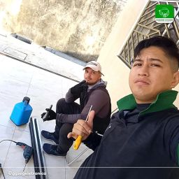 https://img.olx.com.br/thumbs256x256/16/168563125307375.jpg