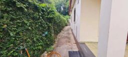 https://img.olx.com.br/thumbs256x256/16/168564631479029.jpg