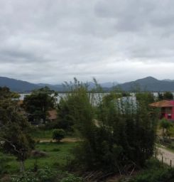 https://img.olx.com.br/thumbs256x256/16/169504164649509.jpg