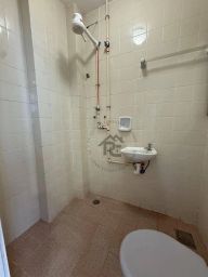 https://img.olx.com.br/thumbs256x256/16/169524527659470.jpg