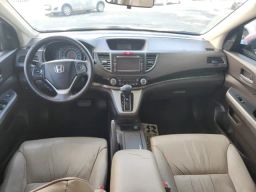 https://img.olx.com.br/thumbs256x256/16/169572276413855.jpg