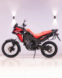 https://img.olx.com.br/thumbs256x256/17/170512156362505.jpg
