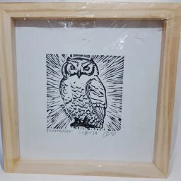 https://img.olx.com.br/thumbs256x256/17/170643189568777.jpg