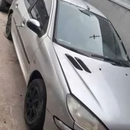 https://img.olx.com.br/thumbs256x256/17/171346552091837.jpg