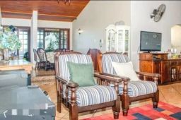 https://img.olx.com.br/thumbs256x256/17/171564168275382.jpg