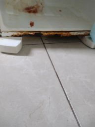 https://img.olx.com.br/thumbs256x256/17/171574515406771.jpg