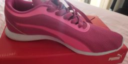 https://img.olx.com.br/thumbs256x256/17/172447324204985.jpg