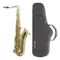 https://img.olx.com.br/thumbs256x256/17/172453432734766.jpg