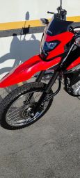 https://img.olx.com.br/thumbs256x256/17/172510049770226.jpg
