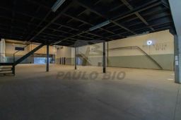 https://img.olx.com.br/thumbs256x256/17/172526046065583.jpg
