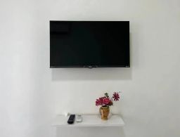https://img.olx.com.br/thumbs256x256/17/172552397344347.jpg