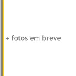https://img.olx.com.br/thumbs256x256/17/172556640361880.jpg
