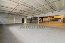 https://img.olx.com.br/thumbs256x256/17/172580884524019.jpg